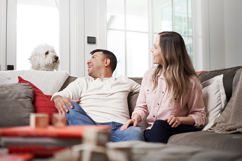 Is It True Air Purifiers Relieve Allergies?