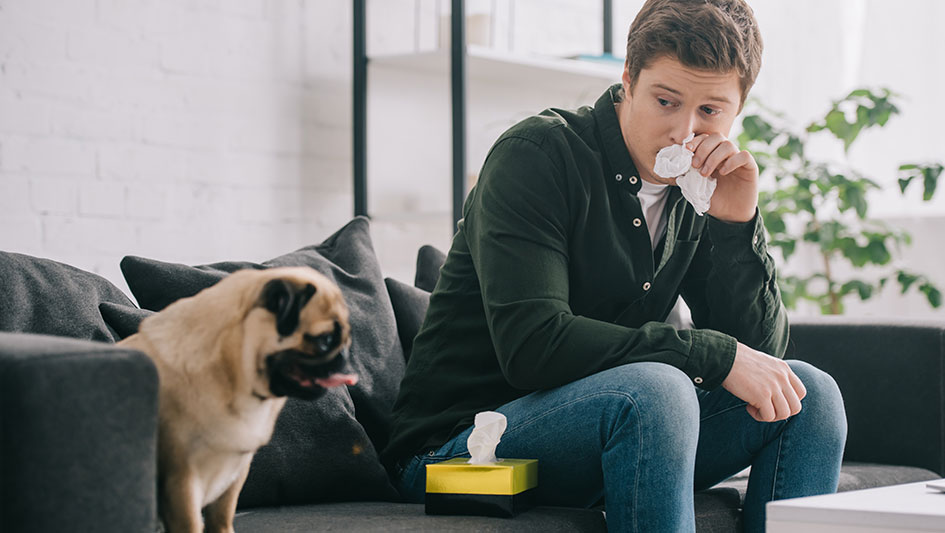 Purchasing an air purifier is one of the top methods to enhance your house’s indoor air quality. Find out more about the three top options. 